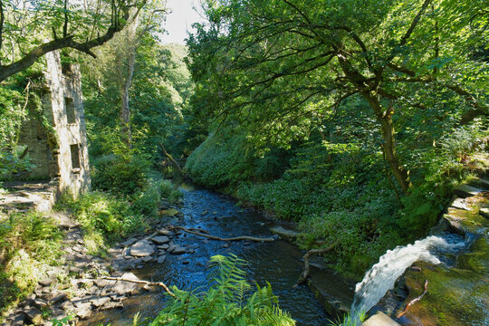A sunlit stream flows through a lush green forest, passing an old stone ruin on the left - Ashworth Valley, Rochdale, UK