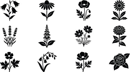 Wildflower Silhouette Collection Featuring Rose Daisy Lavender Poppy Lily and Botanical Floral Vector Set © MISBIJLY