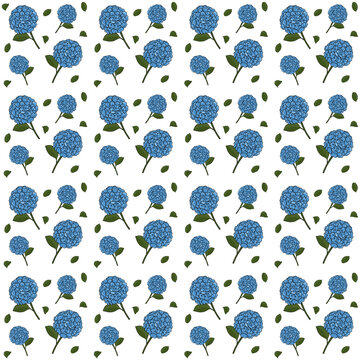 Seamless pattern of blue hydrangea floral watercolor illustration, seamless botanical background with blooming blue flowers and green leaves isolated on white background