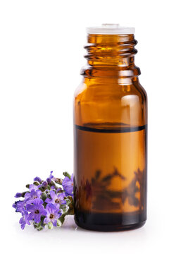 Lavender flowers and a bottle of lavender essential oil isolated on a white background. With clipping path.