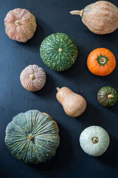 Colorful pumpkins on dark background