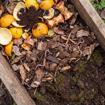 Detailed cross-section view of composting showing organic decomposition and life cycle