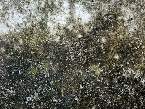 Mossy wall with damp stains, dirt buildup, and weathered concrete surface caused by prolonged rain exposure, creating a natural grunge texture background.