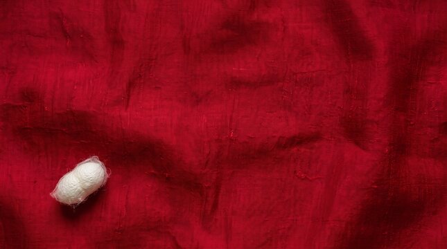 Close-up of red silk fabric with natural silkworm cocoon. Luxurious textile texture featuring organic silk production material.
