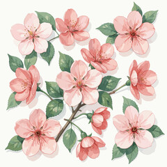 Fototapeta premium Pink Cherry Blossoms on Branch with Green Leaves Illustration