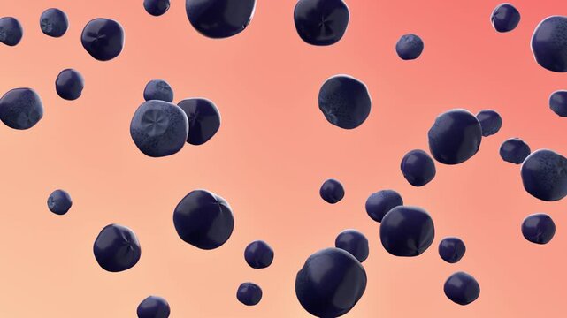 Blueberries floating on coral pink and peach gradient background with ripe juicy berries levitating in air. 3d rendering