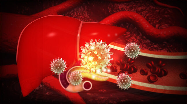 Anatomical human liver illustration with microscopic hepatitis virus cells on a professional scientific background. 3d illustration