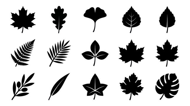 Diverse collection of black silhouette leaves from various trees and plants.