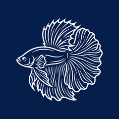 Fototapeta premium White line art betta fish on dark background.