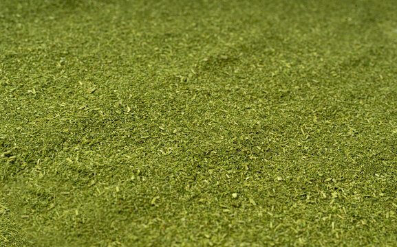 Green grass powder, dry ground barley sprouts