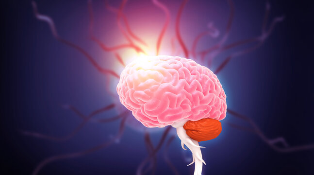Futuristic 3D digital human brain with glowing neural network connections on dark background.