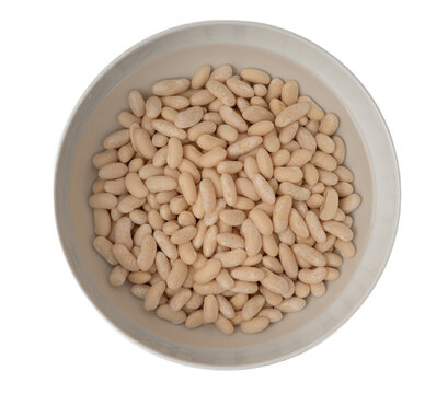 Soaked white beans, legume seeds in water
