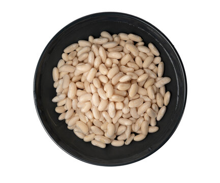 Soaked white beans, legume seeds in water