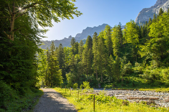The morning valley of Karwendel mountains from Enger tall  - Grosser Ahornboden walley.