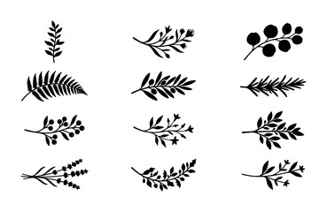 Obraz premium Minimalist Botanical Vector Elements, Delicate Floral Branch Illustrations, Hand-Drawn Leafy Accents, Organic Decorative Sprigs, Black and White Nature Motifs