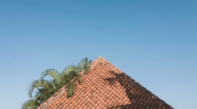 Red clay tile roof with palm tree under blue sky