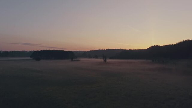 Aerial drone view of open lowland meadows with ground mist, lone bare tree and dark tree cluster silhouettes, forest treeline and vivid orange pink gradient sunrise sky on horizon, Wkra river valley,