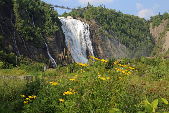 Waterfalls and tansy flowers - Montmorency Falls - Quebec, Canada