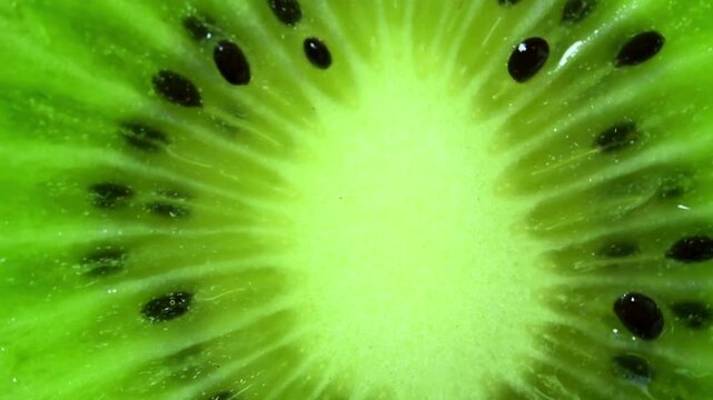 Close up view of fresh green kiwi fruit slice showing seeds and juicy texture for a healthy food concept