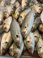 Obraz premium fresh fish on the market