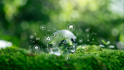 Renewable energy and energy transition concept. glass globe with sustainability icons, climate action, net zero, carbon reduction, ESG, clean energy, circular economy and environmental responsibility © Anon