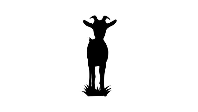 Goat front view, black isolated vector silhouette