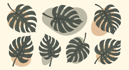 Monstera Deliciosa Leaves Collection. © Welas