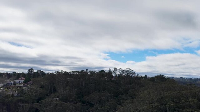 Panoramic View of Eucalyptus Forest and Blue Mountains Landscape