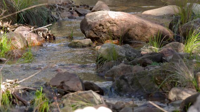 Clear Water Flowing Over Rocks in a Shallow Creek