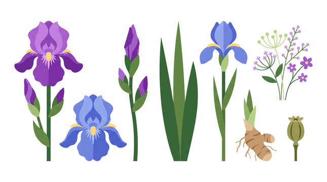 Set of colorful iris flowers and green leaves in pixel art style isolated on transparent background