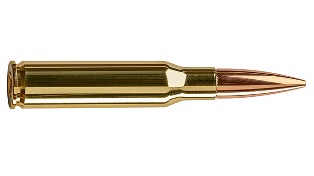 Golden brass bullet cartridge with copper projectile, isolated on transparent background