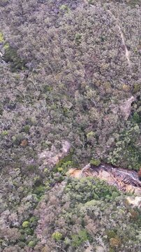Aerial View of Wentworth Falls and Blue Mountains Forest