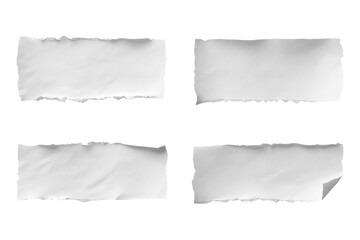 Fototapeta premium Collection of four blank ripped white paper strips