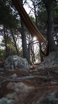 Vertical screen Forest hammock camping invites slow travel and digital detox as sunlight filters through tall pine trees creating a peaceful outdoor retreat experience