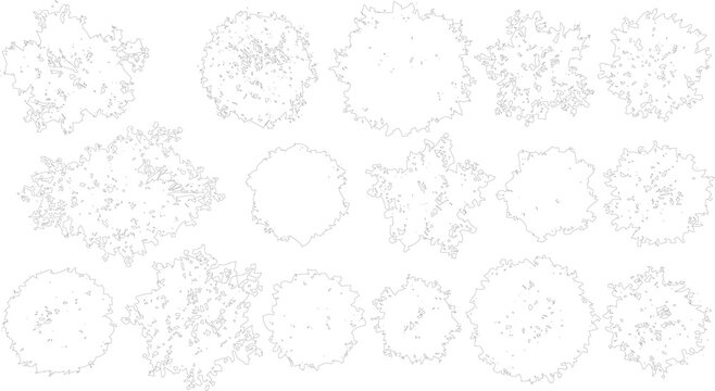 Collection of circular tree crown top view illustrations detailing for landscape design architectural plan and site development projects.