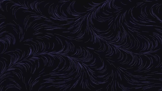 Abstract dark background with purple organic motion lines flowing like digital feathers in seamless loop for cinematic transitions.