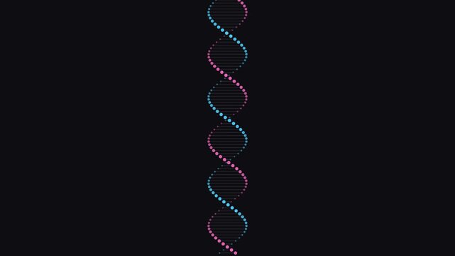 Stylized dna double helix rotating vertically on black background featuring blue and purple gradient dots in a seamless loop clip.
