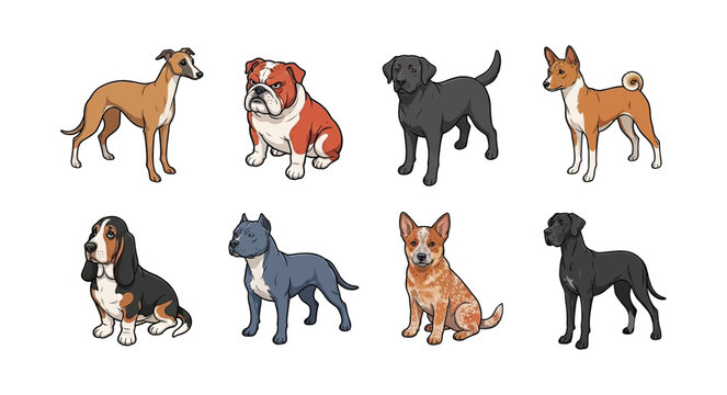 Collection of various dog breeds including greyhound bulldog labrador basset hound pit bull cattle dog and great dane standing and sitting