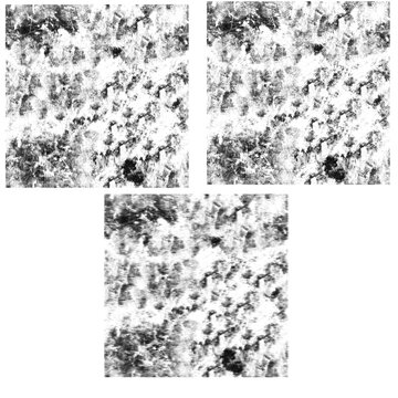 Rough Grunge Texture Brush Set Black White Mottled Chaotic Splatter Digital Stamp Three Variations Abstract

