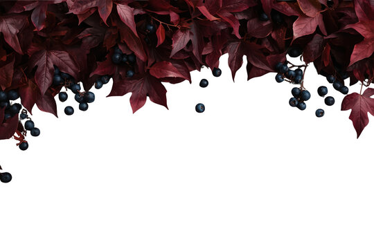 Dark burgundy leaf and berry border along the upper edge