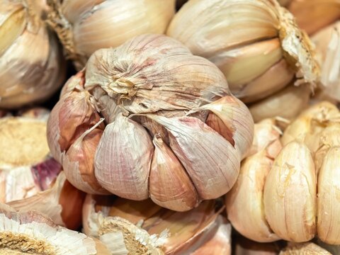 Detailed close-up of garlic bulb texture and papery layers
