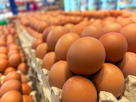 Fresh brown eggs on display at a grocery store