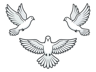 Fototapeta premium Three white doves flying together in harmony.
