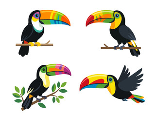 Fototapeta premium A collection of four cartoon toucans with colorful beaks in various poses.
