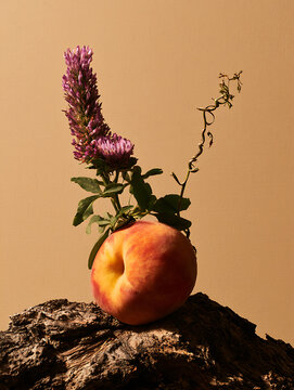 Ripe, tender peaches placed on a rough, rustic log