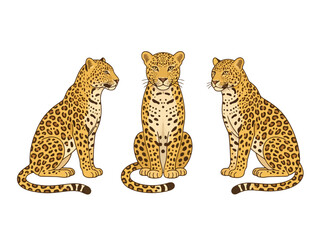 Naklejka premium Three stylized leopards illustration showcasing different poses against a white background.