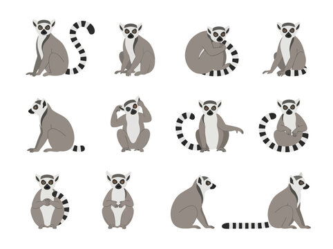 A collection of illustrated lemurs in various poses.