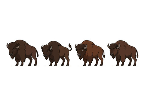 Four American bison standing in a row facing left.