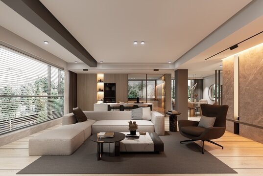 Modern minimalist condominium living room and kitchen interior design