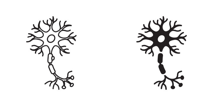 medical diagram of neuron cells with dendrites and axon branches shown in simple line art style
